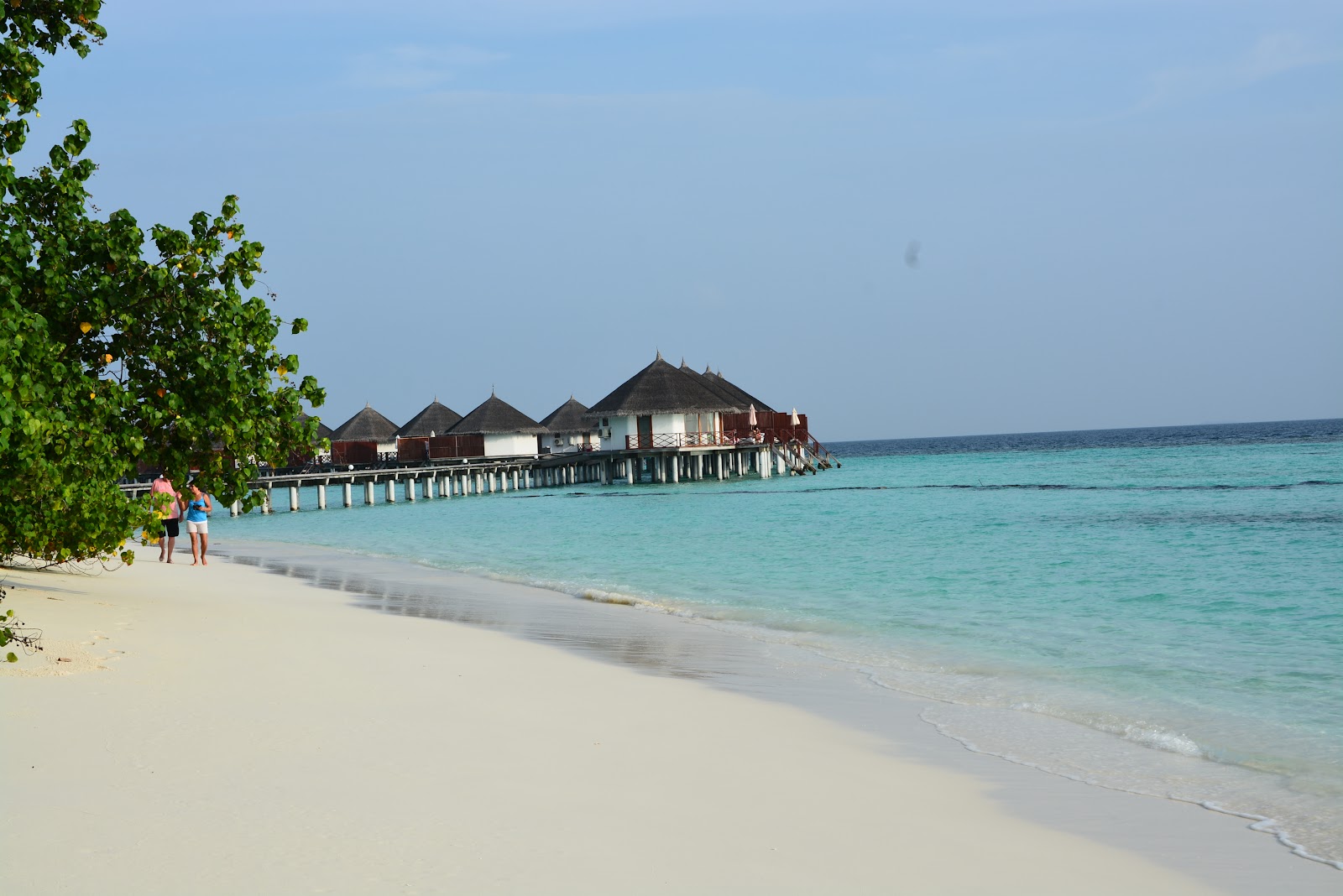 Safari Island'in fotoğrafı - rahatlamayı sevenler arasında popüler bir yer