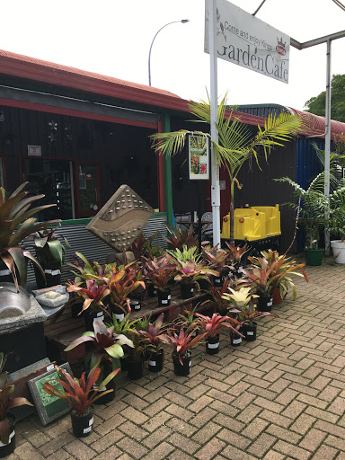 Plants stores Auckland