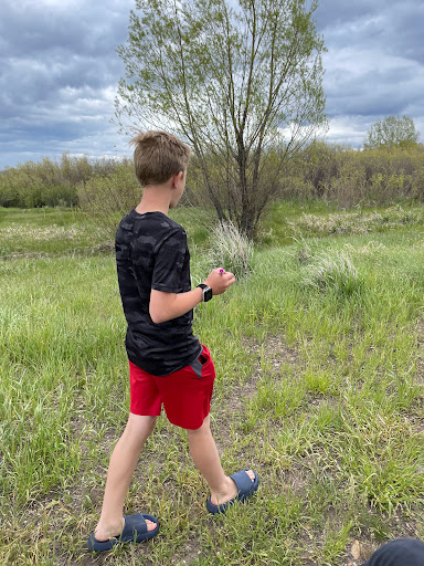 Nature Preserve «Swaner Preserve and EcoCenter», reviews and photos, 1258 Center Dr, Park City, UT 84098, USA