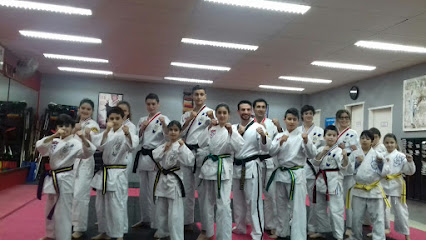 Songahm Taekwondo Florida