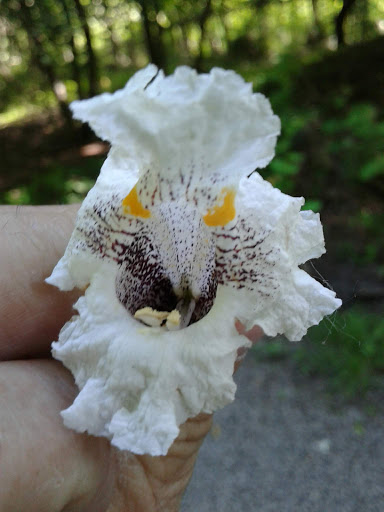 Nature Preserve «Franklin Lakes Nature Preserve», reviews and photos, 1 Nature Preserve Way, Franklin Lakes, NJ 07417, USA