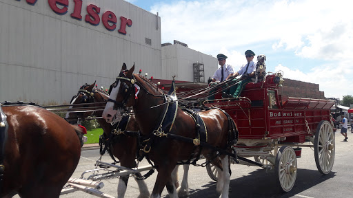 Tourist Attraction «Budweiser Brewery Experience», reviews and photos, 775 Gellhorn Dr, Houston, TX 77029, USA