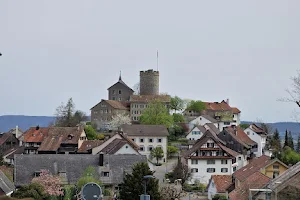 Stiftung Schloss Regensberg image