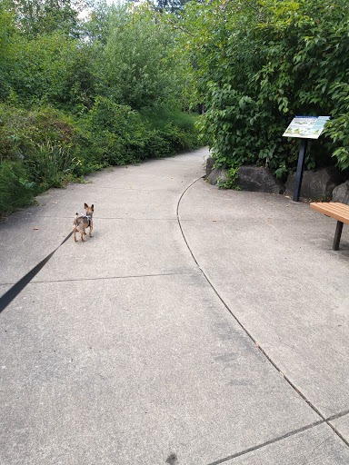 Park «Stringfield Family Park», reviews and photos, 3614 SE Naef Rd, Milwaukie, OR 97267, USA