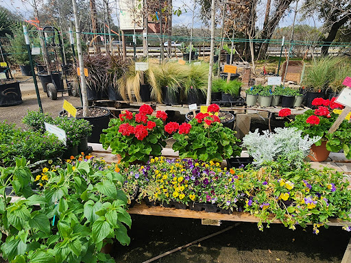 Landscaper «Wilson Landscape Nursery and Florist», reviews and photos, 14650 Bandera Rd, Helotes, TX 78023, USA