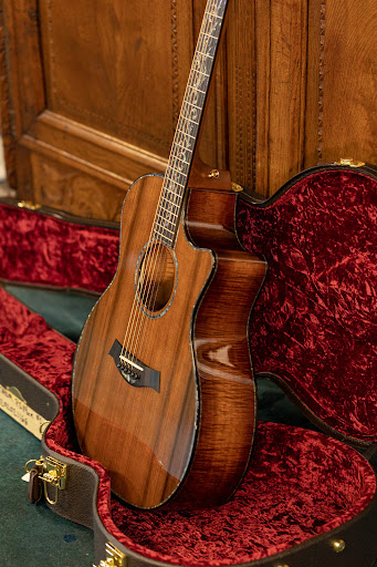 WildCat Guitars image