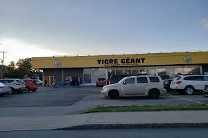 Tigre Géant image