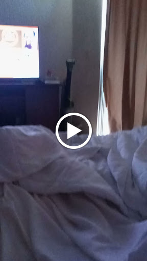 Public Golf Course «Bonaventure Golf Club», reviews and photos, 200 Bonaventure Blvd, Weston, FL 33326, USA