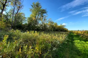 Drewiske Family Preserve image