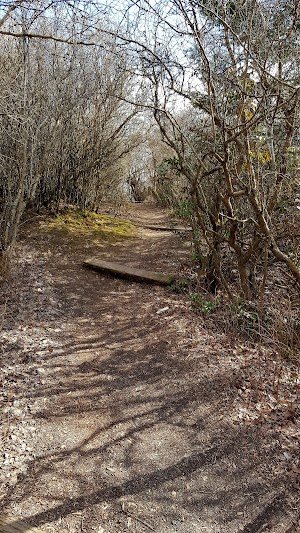 Sunnyside Park - photo 66