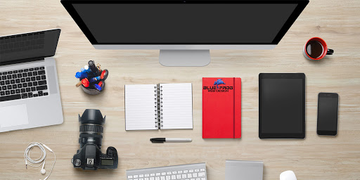 BLuE frog Web DESign image