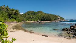 Port Glaud Lagoon Beach'in fotoğrafı vahşi alan