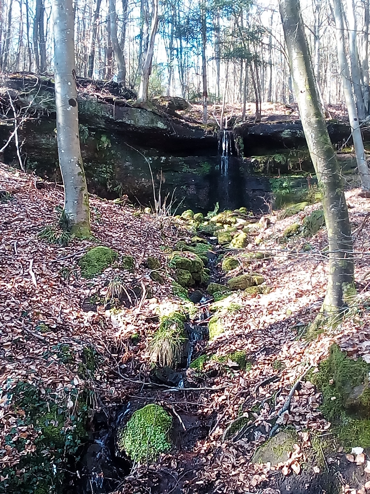 Photo n° 4 de l'avis de dominique.a fait le 21/02/2021 à 15:12