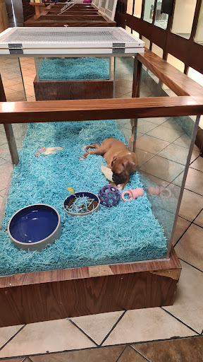 Pet Store «Pet Kingdom», reviews and photos, 4650 S Cleveland Ave, Fort Myers, FL 33907, USA