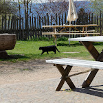 Photo n°3 de l'avis de ORDNAS.o fait le 09/07/2019 à 18:38 sur le  Albergo Tschaufen à Mölten