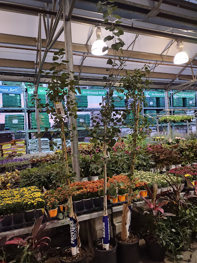 Home Improvement Store «The Home Depot», reviews and photos, 2115 S 1st St, Yakima, WA 98903, USA