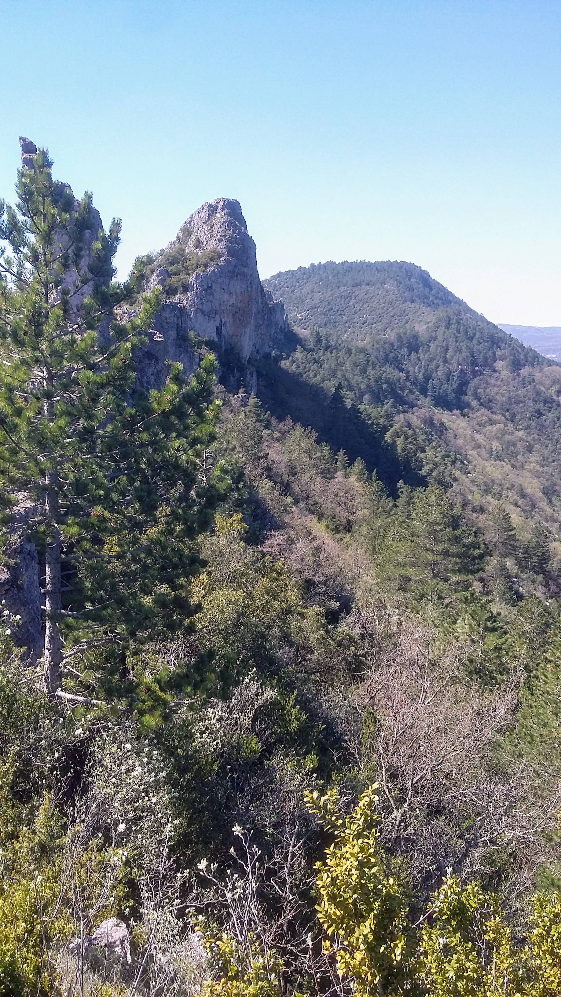 Photo n° 2 de l'avis de Nicolas.a fait le 21/11/2017 à 12:06