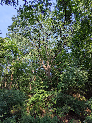 Park «Poricy Park Nature Center», reviews and photos, 345 Oak Hill Rd, Red Bank, NJ 07701, USA