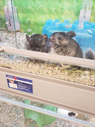 Shopping Mall «Consumer Centre», reviews and photos, 310 NJ-36, West Long Branch, NJ 07764, USA