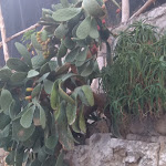 Photo n°8 de l'avis de Magdalena.o fait le 28/12/2020 à 20:41 sur le  Hotel Cristina Sorrento à Sant'Agnello