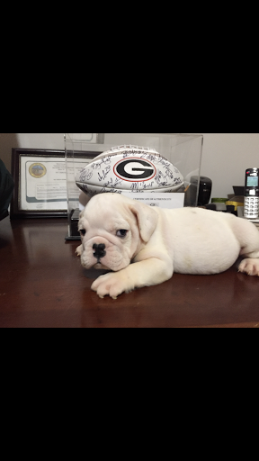 Pet Store «Tri-Creek Kennels», reviews and photos, 5641 US-129, Pendergrass, GA 30567, USA