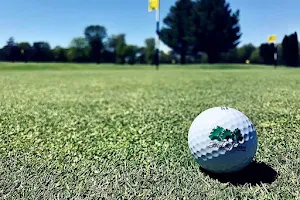 Hickory Grove Golf Course image
