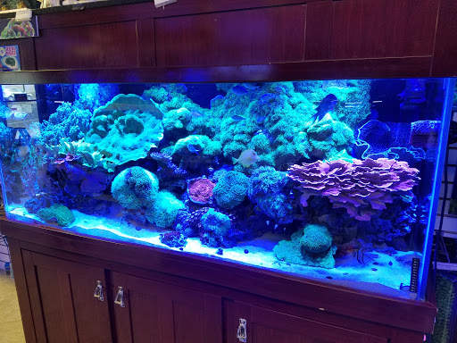 Pet Store «Total Aquariums», reviews and photos, 325 Sunrise Hwy, Lynbrook, NY 11563, USA