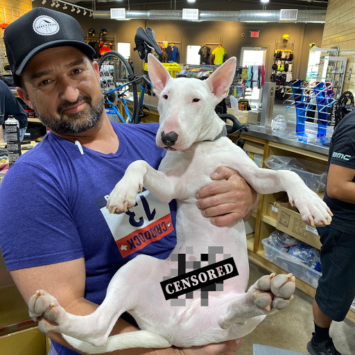 Bicycle Store «Urban Bicycle Gallery», reviews and photos, 4814 Nett St, Houston, TX 77007, USA