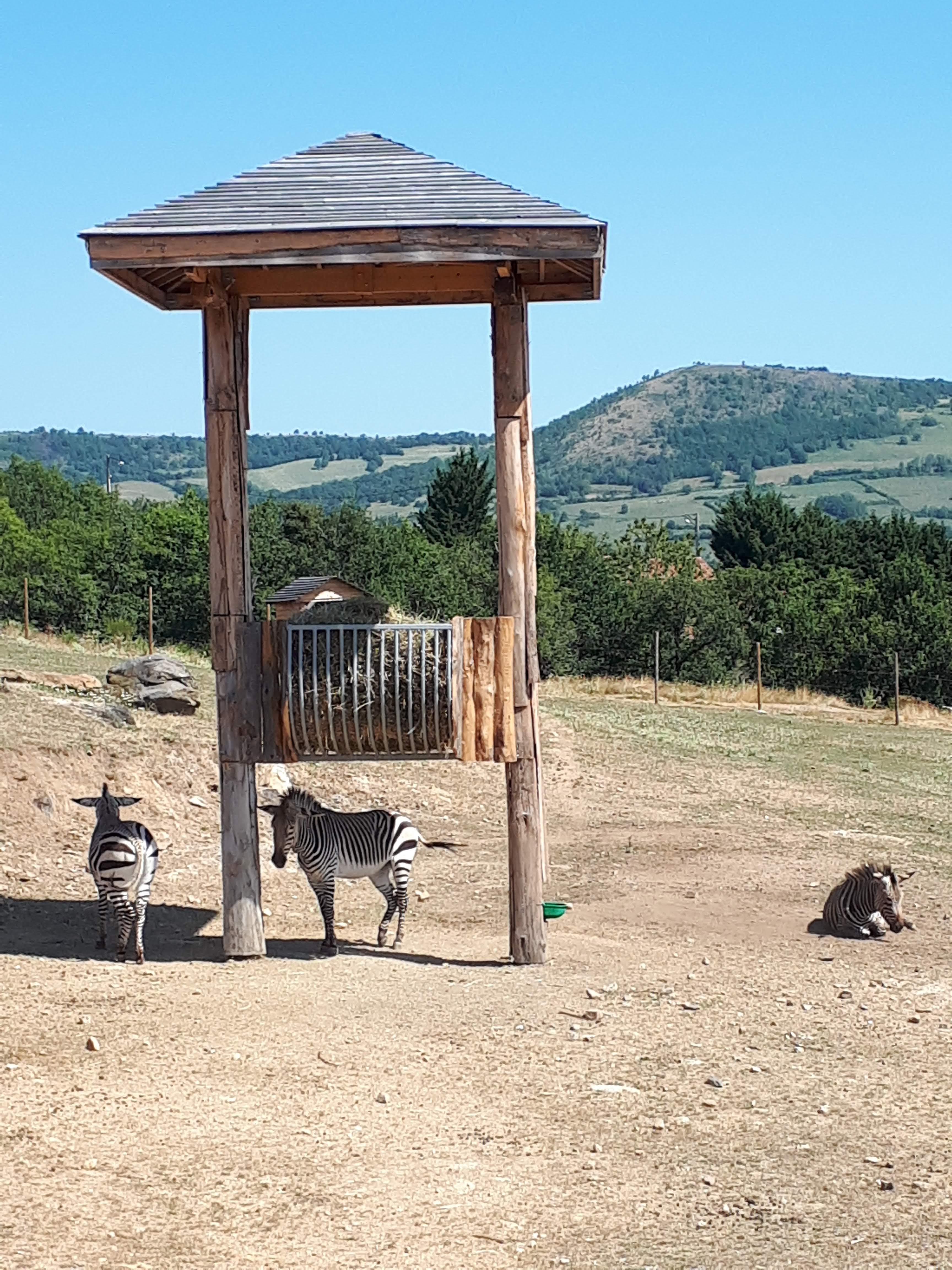 Photo n° 2 de l'avis de Mi.e fait le 05/08/2018 à 16:30