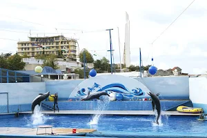 Sevastopol Dolphinarium image