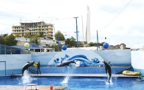 Sevastopol Dolphinarium image