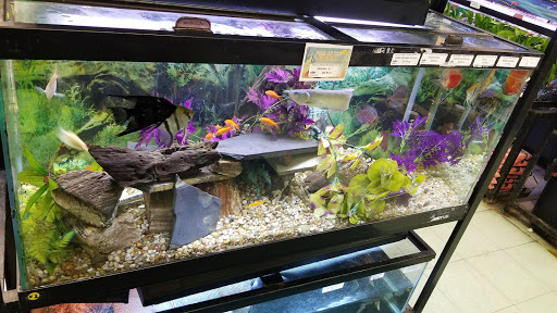 Pet Store «Petland Discounts - LI City», reviews and photos, 34-60 48th Ave, Queens, NY 11101, USA