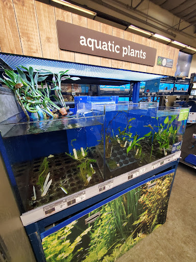 Pet Supply Store «Petco Animal Supplies», reviews and photos, 22 Peninsula Center, Rolling Hills Estates, CA 90274, USA