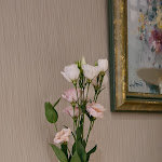 Photo n°4 de l'avis de Peter.c fait le 03/09/2020 à 20:07 sur le  Hotel Seelust à Cuxhaven