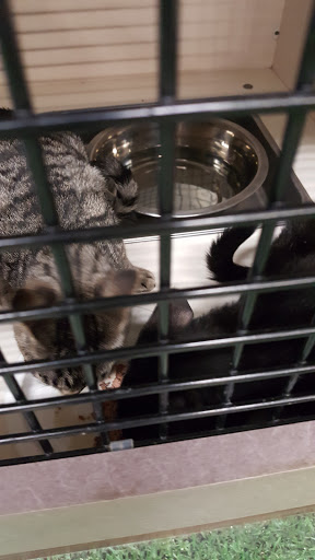 Pet Supply Store «Petco Animal Supplies», reviews and photos, 1014 Shoppes At Midway Dr, Knightdale, NC 27545, USA