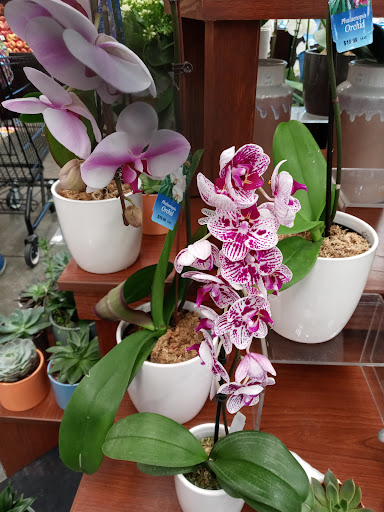 Grocery Store «Ralphs», reviews and photos, 2201 W Redondo Beach Blvd, Gardena, CA 90247, USA