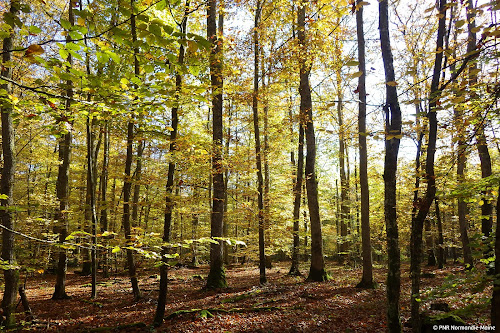 Parc naturel régional et Géoparc Normandie-Maine à Carrouges