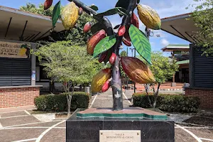 Monumento al Cacao Park image