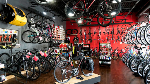 Bicycle Store «Race Pace Cyclery», reviews and photos, 34500 US-45 O, Third Lake, IL 60030, USA
