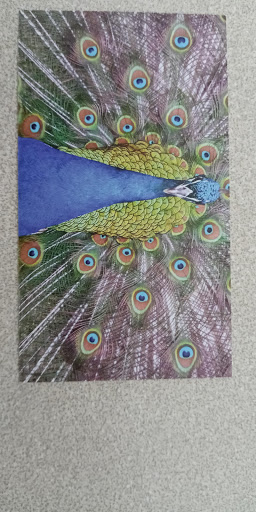 Corporate Office «UPrinting», reviews and photos, 8000 Haskell Ave, Van Nuys, CA 91406, USA