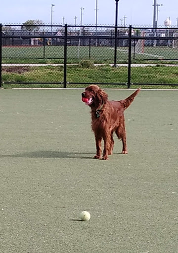Dog Park «Bay Park Dog Park», reviews and photos, 2 Marjorie Ln, East Rockaway, NY 11518, USA