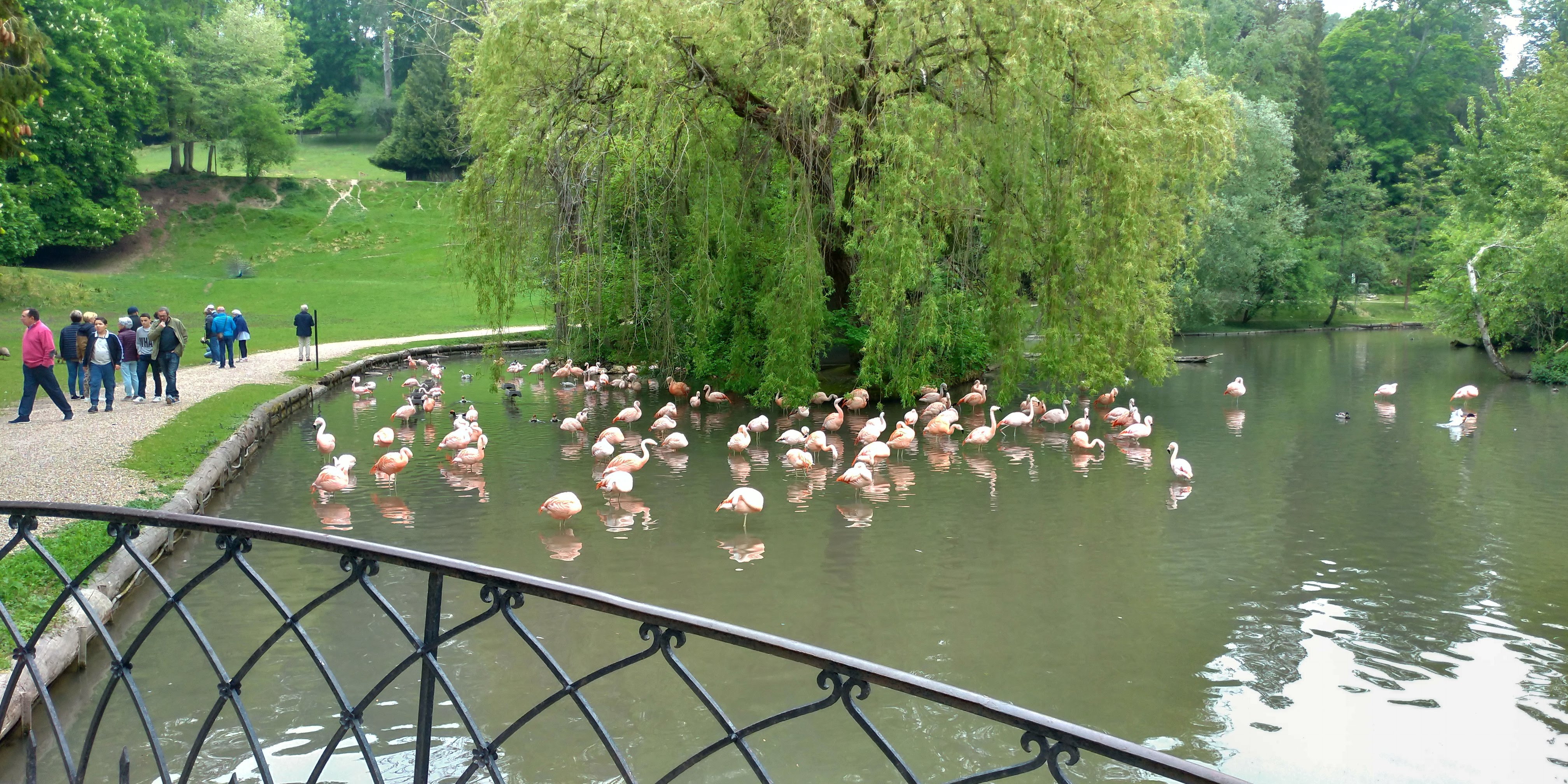 Photo n° 28 de l'avis de Maxime.E fait le 19/05/2019 à 20:15