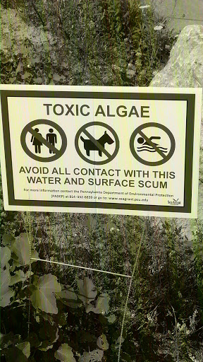 Park «Shades Beach Park», reviews and photos, 7000 E Lake Rd, Erie, PA 16511, USA