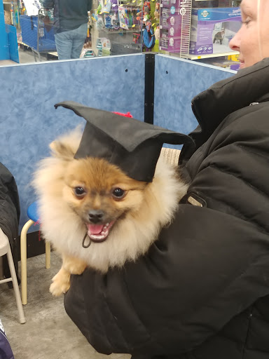 Pet Supply Store «PetSmart», reviews and photos, 8460 Tamarack Village, Woodbury, MN 55125, USA