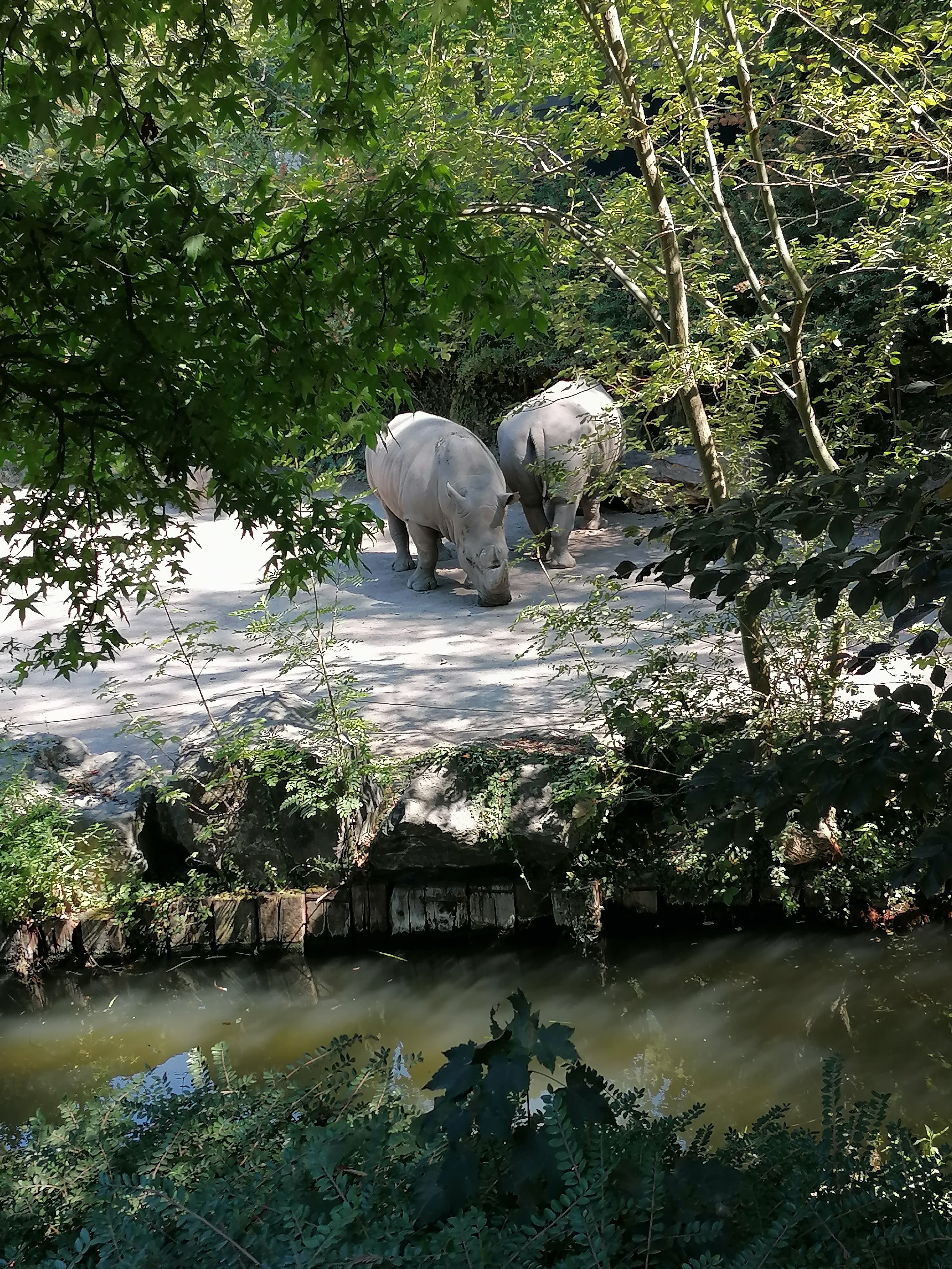 Photo n° 3 de l'avis de Mimicracra. fait le 13/08/2022 à 07:50