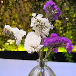 Photo n°3 de l'avis de Mara.a fait le 24/05/2019 à 22:43 sur le  Serre Torrigiani in Piazzetta à Florence