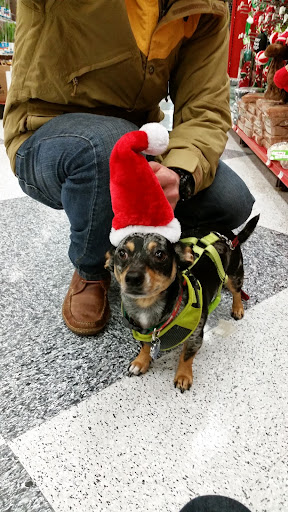 Pet Supply Store «Petco Animal Supplies», reviews and photos, 4209 Wheaton Way, Bremerton, WA 98310, USA