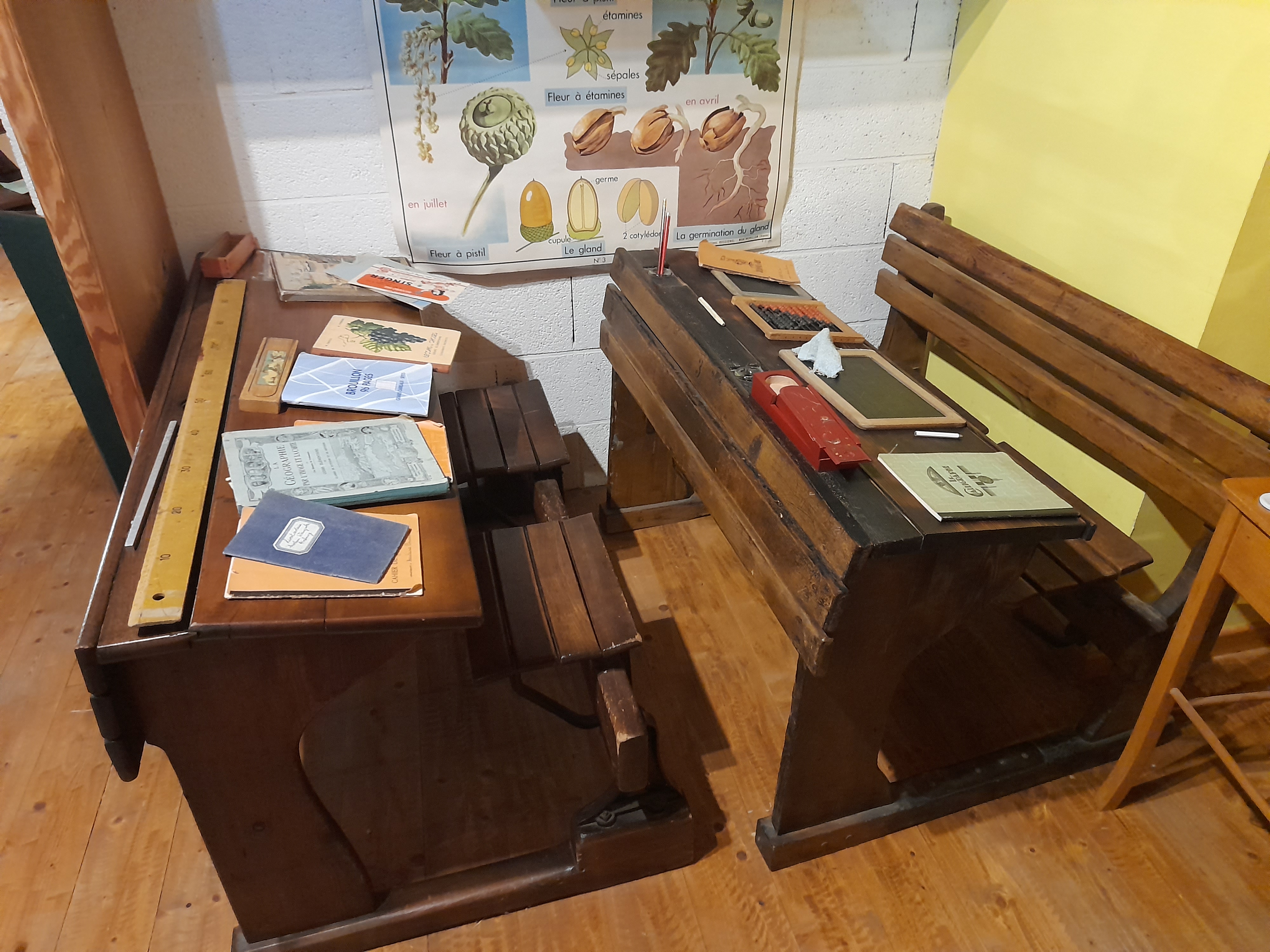 Photo n° 8 de l'avis de Rejane.e fait le 14/11/2023 à 10:32