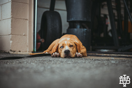 Gym «Iron Valley Barbell», reviews and photos, 5339 W 86th St, Indianapolis, IN 46268, USA