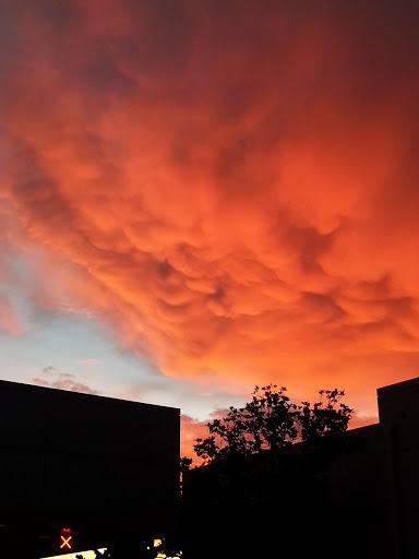 Used Car Dealer «Stevens Creek Toyota Certified Used Cars», reviews and photos, 380 Kiely Blvd, San Jose, CA 95129, USA